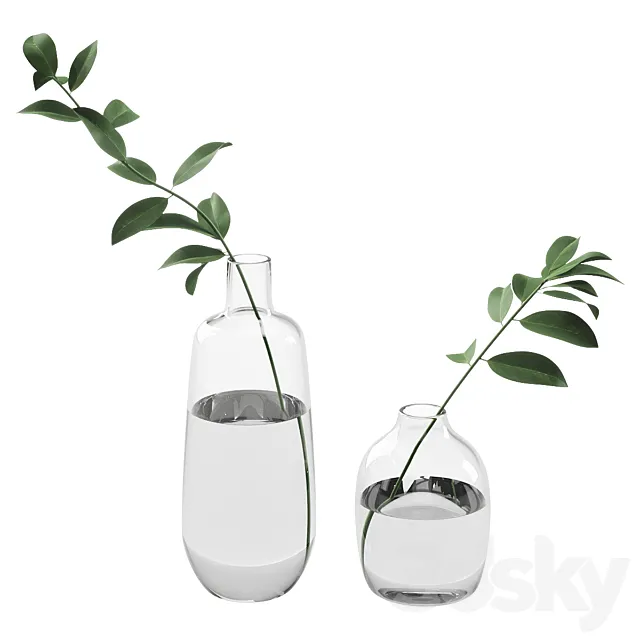 019 Branch in Bottle indoor plant 3DModel