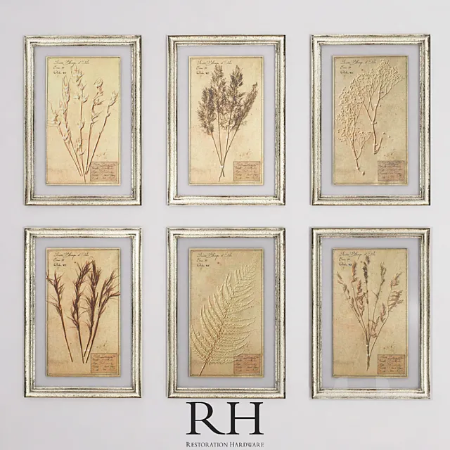 19TH C. FRAMED HERBARIUMS IVORY (SET OF 6) 3DModel