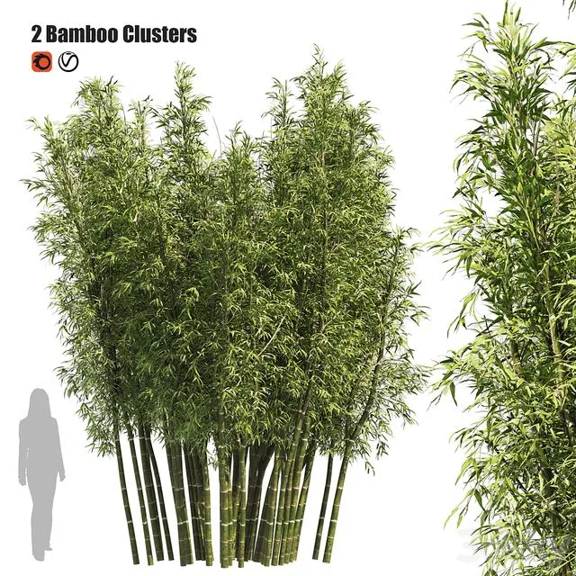 2 Bamboo Clusters 3D Model
