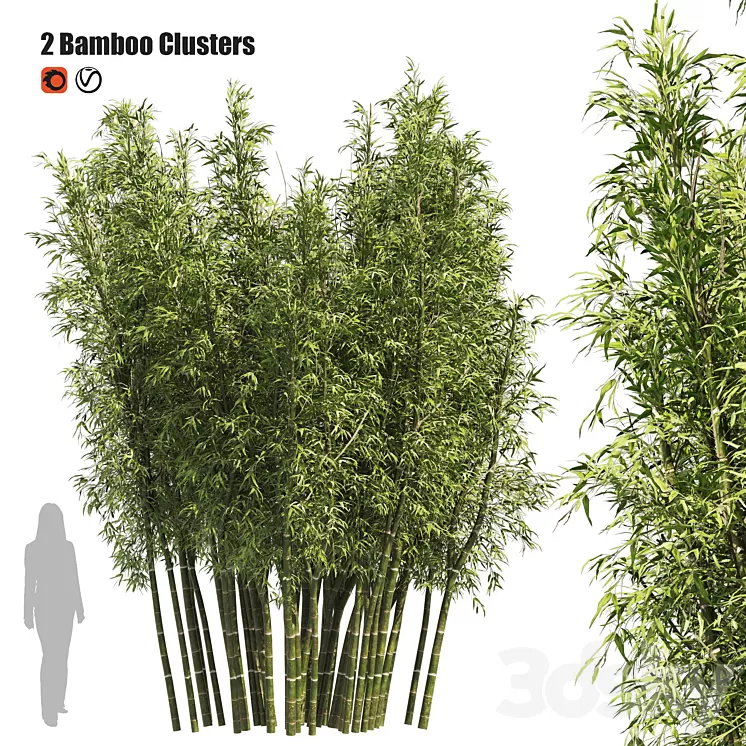 2 Bamboo Clusters 3D Model