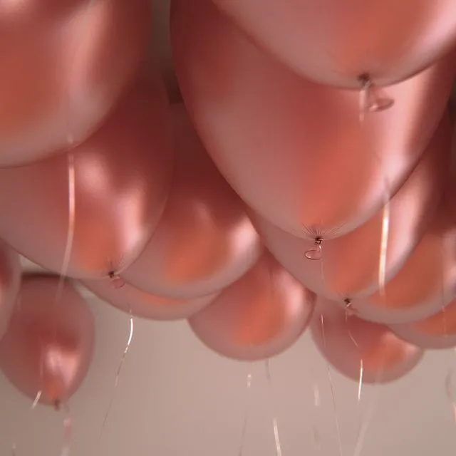 25 balloons 3D Model