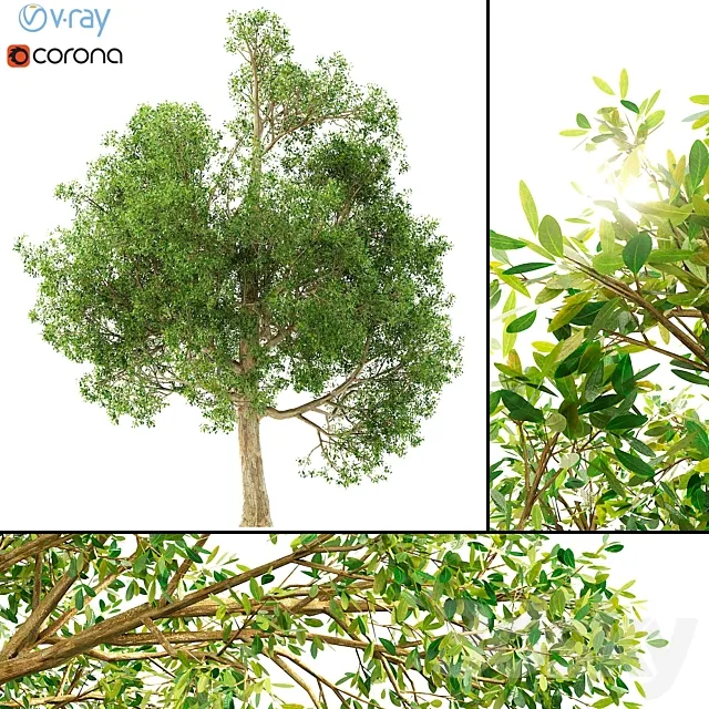 3D model of a tree No. 1 Free Download