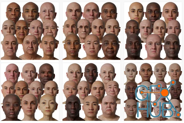 3D Scan Store - Male & Female 78x HD Head Scans Bundle