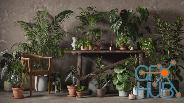 3DCollective Interior Plants Pack 01