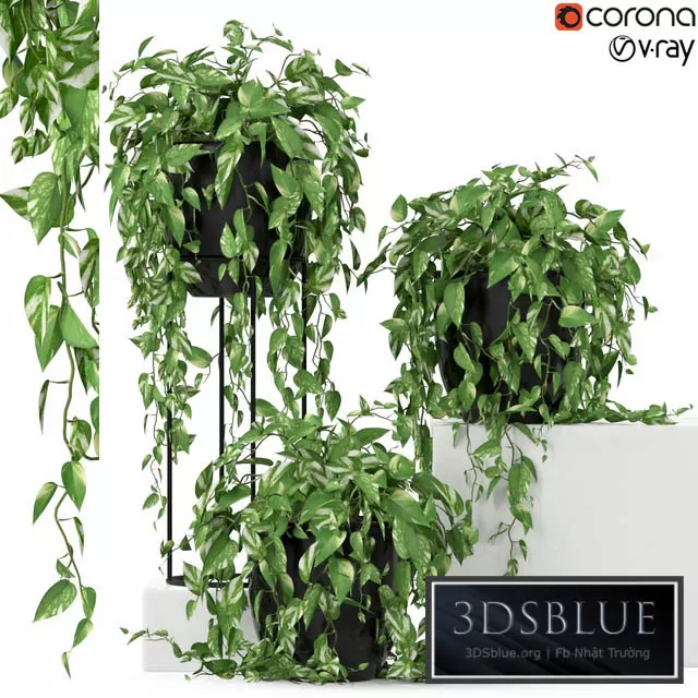 3DSKY FREE � FREE 3DS MAX MODELS