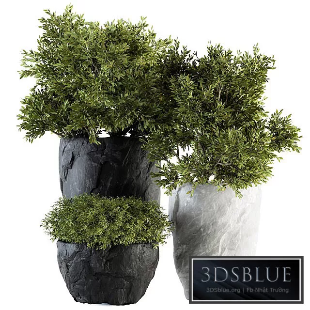 3DSKY FREE � FREE 3DS MAX MODELS