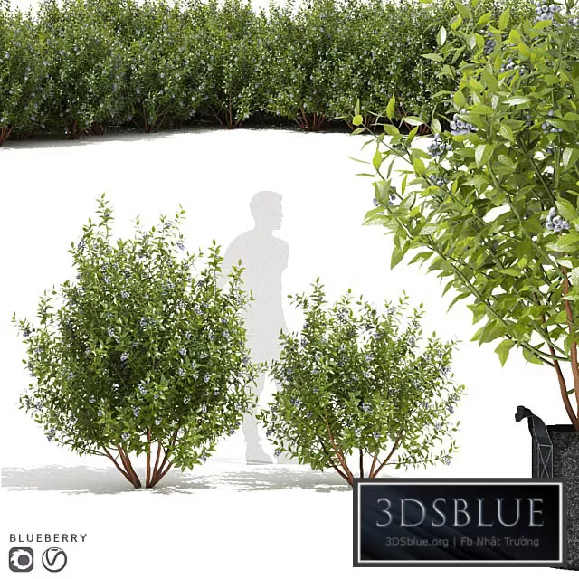 3DS SKY MODELS – 3DSKY Models – 14403