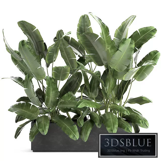 3DSKY FREE � FREE 3DS MAX MODELS