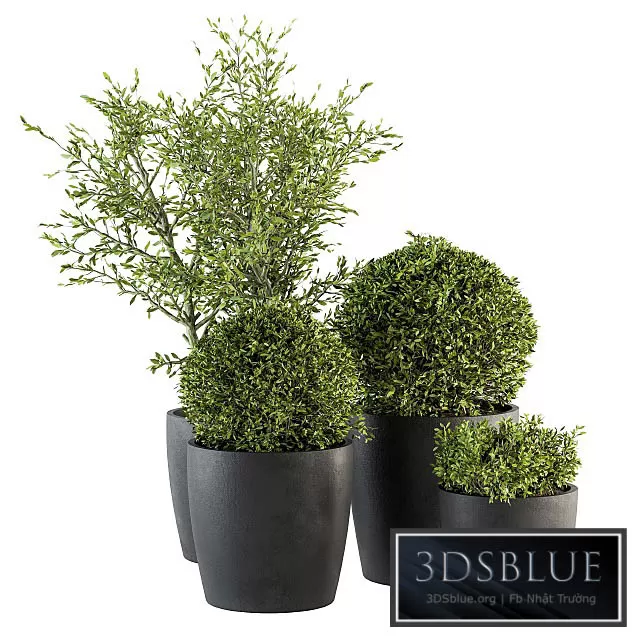 3DSKY FREE � FREE 3DS MAX MODELS