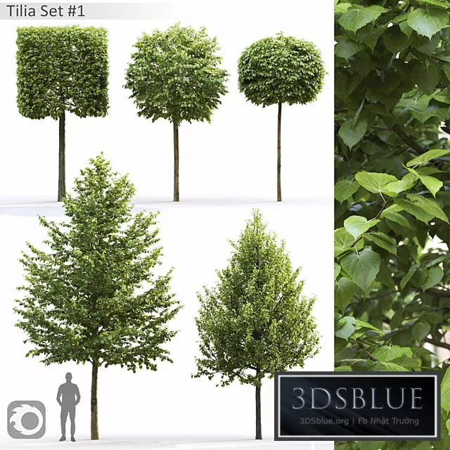 3DSKY FREE � FREE 3DS MAX MODELS