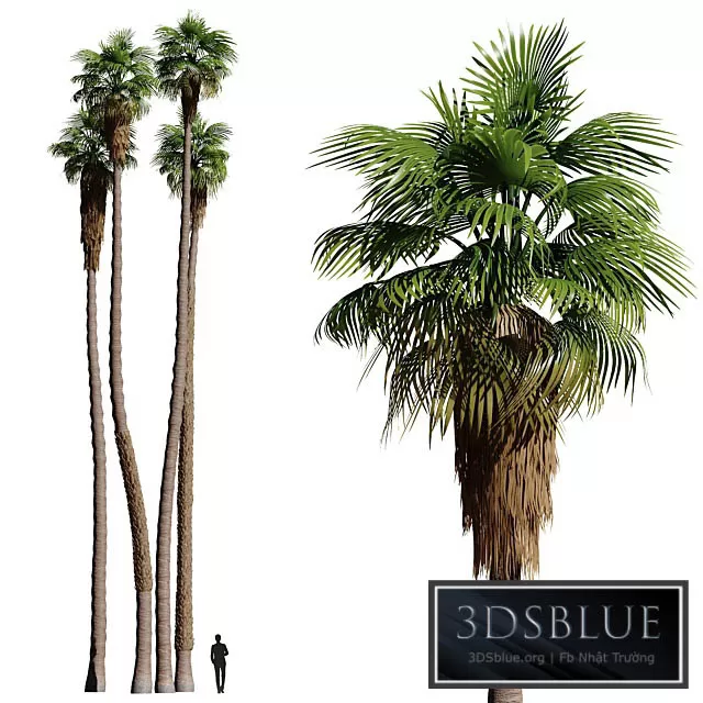 3DSKY FREE � FREE 3DS MAX MODELS