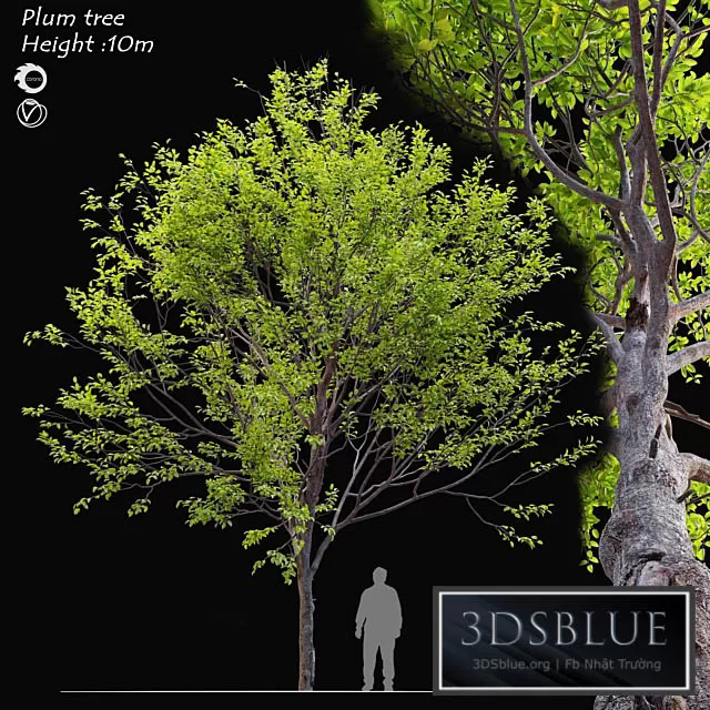 3DSKY FREE � FREE 3DS MAX MODELS