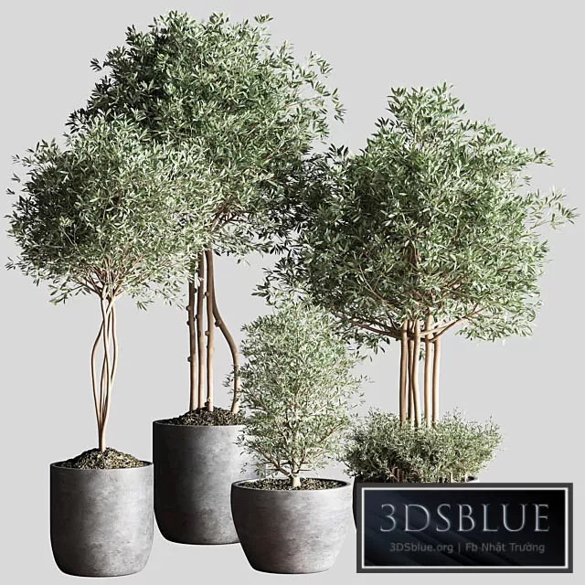 3DSKY FREE � FREE 3DS MAX MODELS