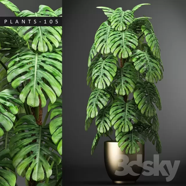 3DSKY FREE � FREE 3DS MAX MODELS