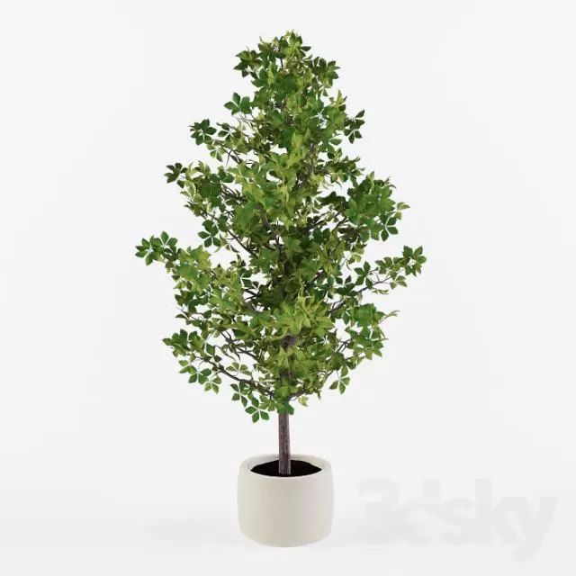 3DSKY FREE � FREE 3DS MAX MODELS