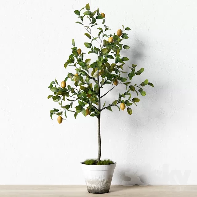 3DSKY FREE � FREE 3DS MAX MODELS