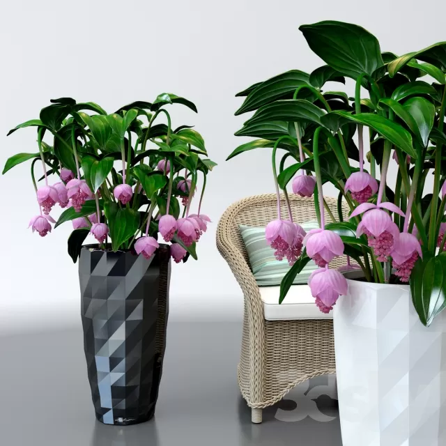 3DSKY FREE � FREE 3DS MAX MODELS