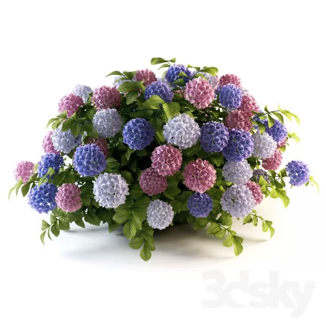 3DSKY FREE � FREE 3DS MAX MODELS