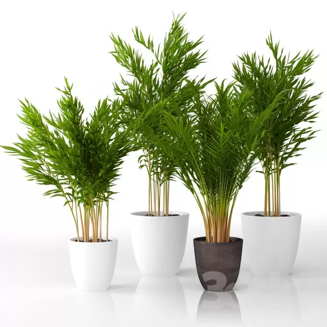 3DSKY FREE � FREE 3DS MAX MODELS