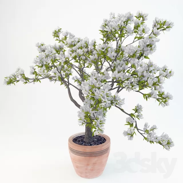 3DSKY FREE � FREE 3DS MAX MODELS