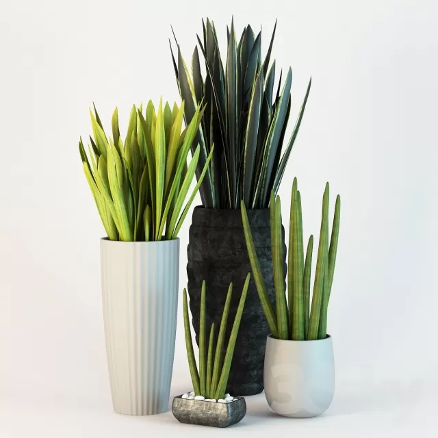 3DSKY FREE � FREE 3DS MAX MODELS