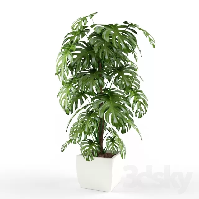 3DSKY FREE � FREE 3DS MAX MODELS