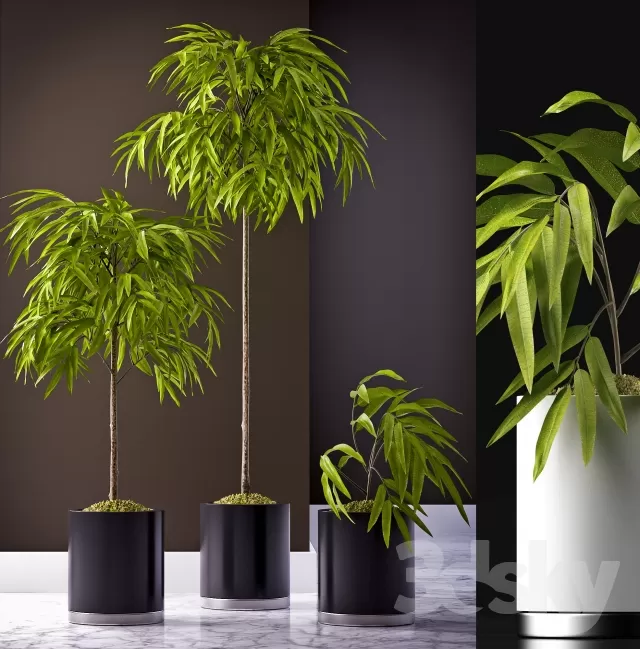 3DSKY FREE � FREE 3DS MAX MODELS