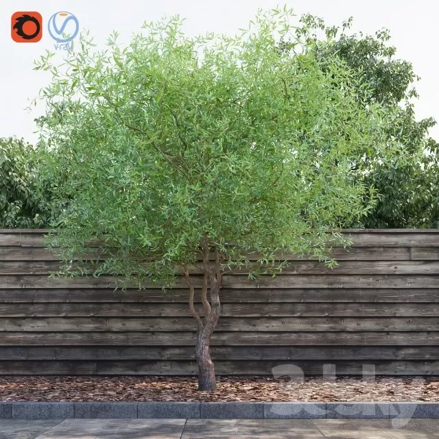 3DSKY FREE � FREE 3DS MAX MODELS