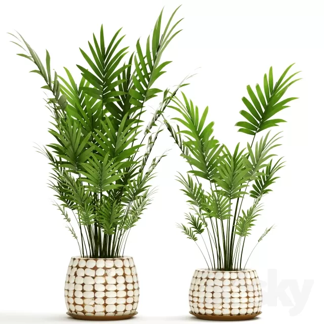 3D MODELS FREE DOWNLOAD 