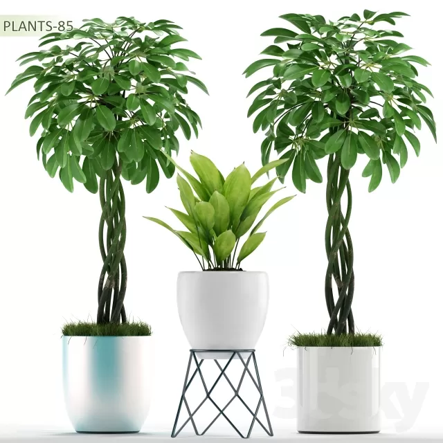 DECORATION – PLANT – 3DSMAX MODELS – 808