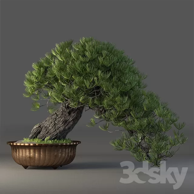 3DSKY FREE � FREE 3DS MAX MODELS