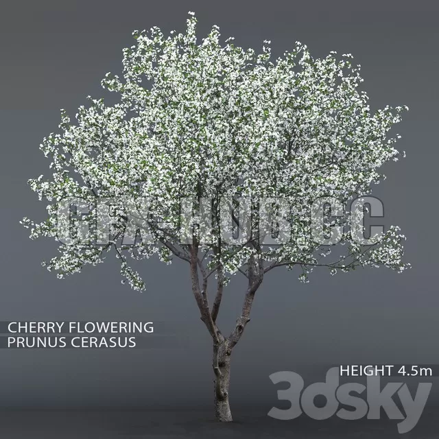 3DSKY FREE � FREE 3DS MAX MODELS