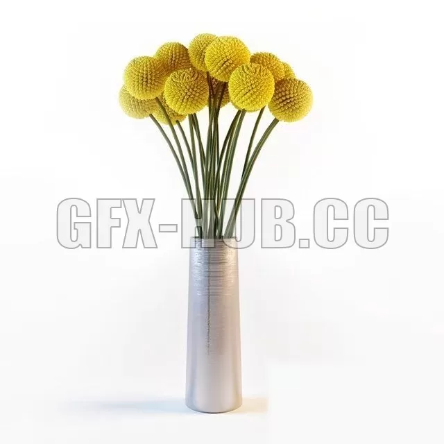 3DSKY FREE � FREE 3DS MAX MODELS