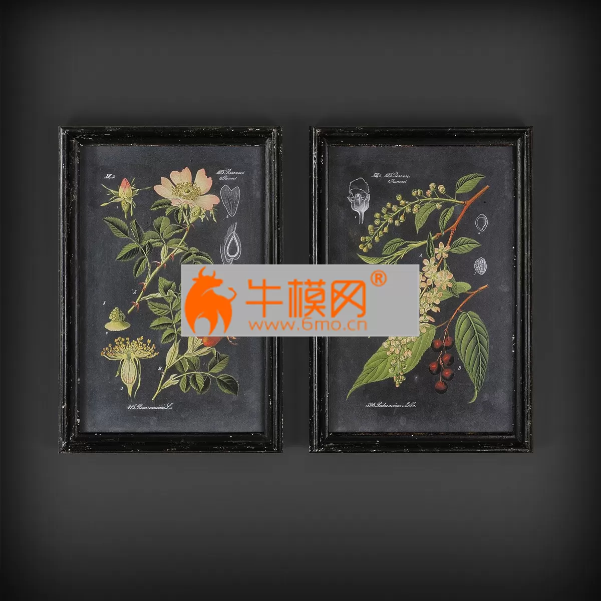 3DSKY FREE � FREE 3DS MAX MODELS