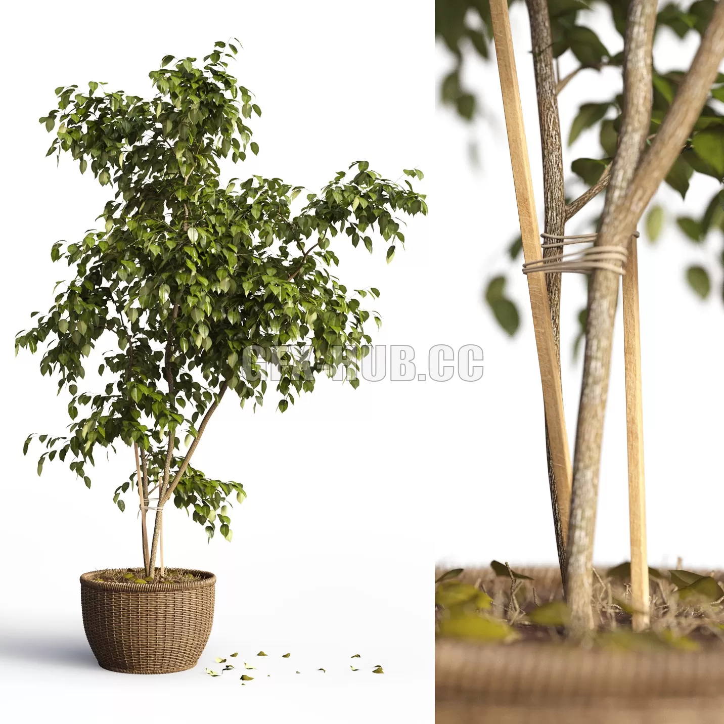 3DSKY FREE � FREE 3DS MAX MODELS