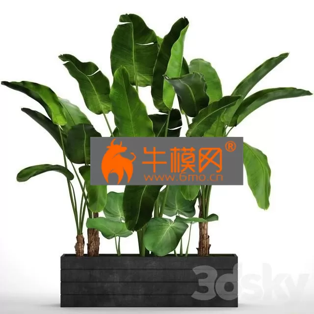 3DSKY FREE � FREE 3DS MAX MODELS