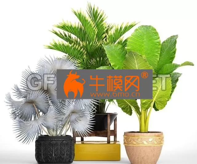 3DSKY FREE � FREE 3DS MAX MODELS