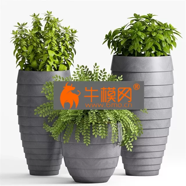 3D MODELS FREE DOWNLOAD 