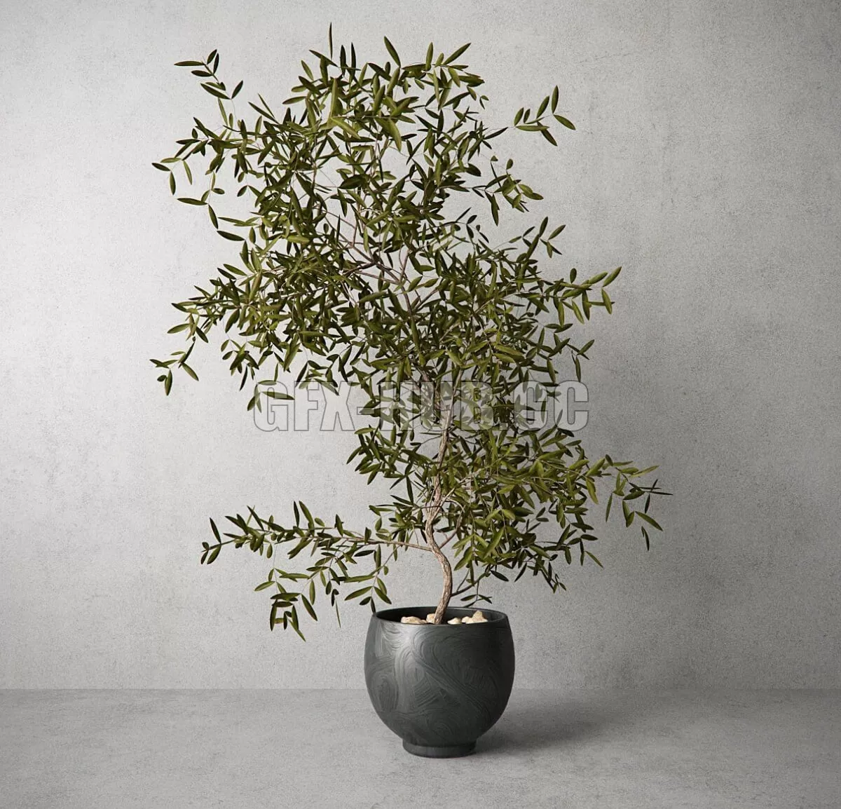 3DSKY FREE � FREE 3DS MAX MODELS