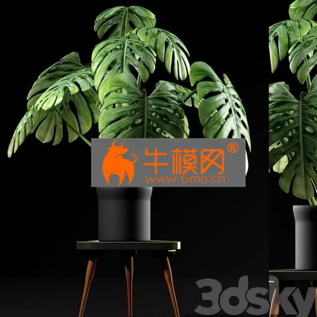 3DSKY FREE � FREE 3DS MAX MODELS