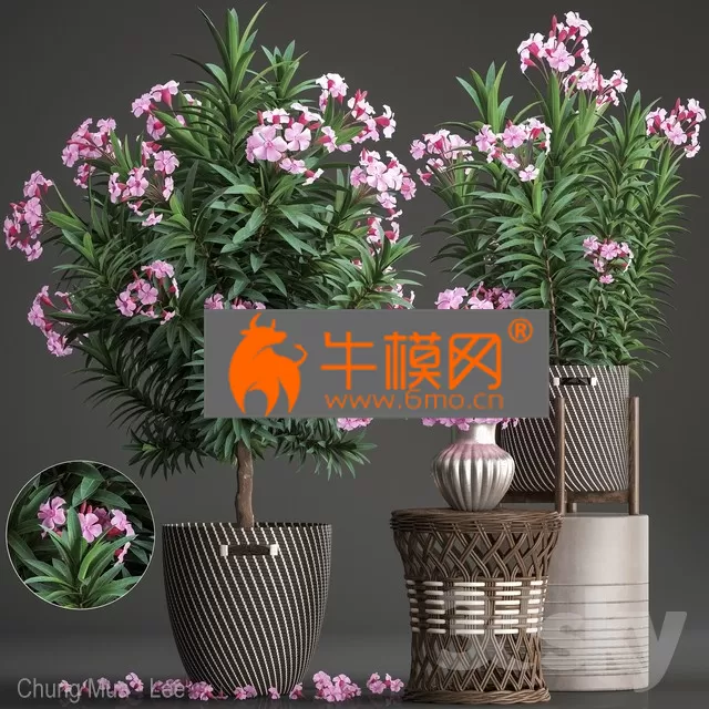 3DSKY FREE � FREE 3DS MAX MODELS