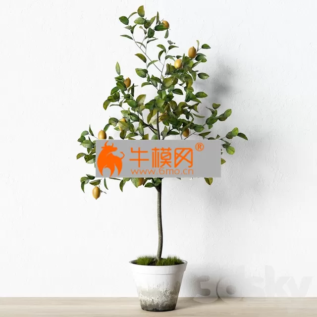 3DSKY FREE � FREE 3DS MAX MODELS