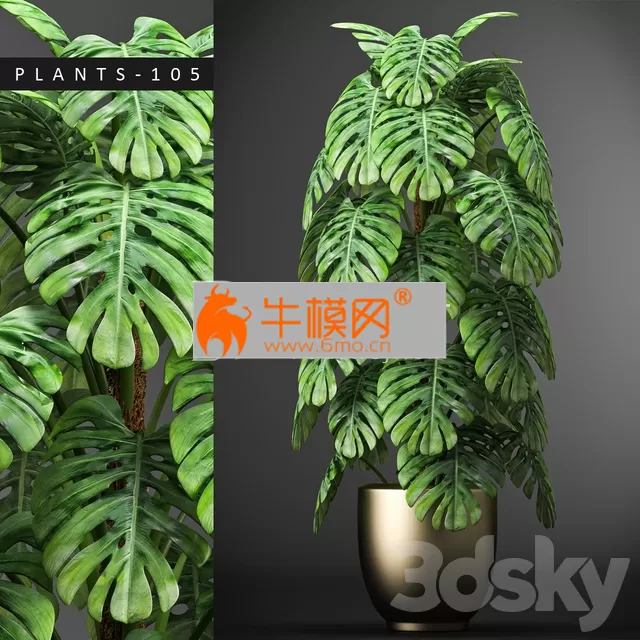 3DSKY FREE � FREE 3DS MAX MODELS