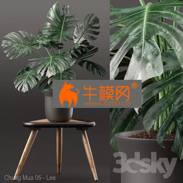 3DSKY FREE � FREE 3DS MAX MODELS