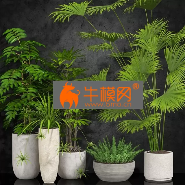 3D MODELS FREE DOWNLOAD 