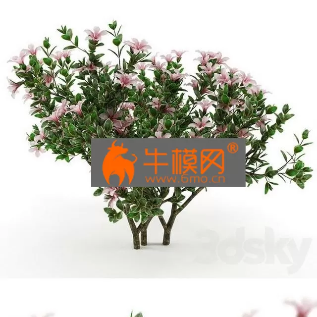 3DSKY FREE � FREE 3DS MAX MODELS