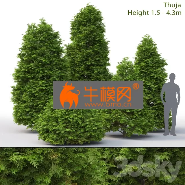 3DSKY FREE � FREE 3DS MAX MODELS