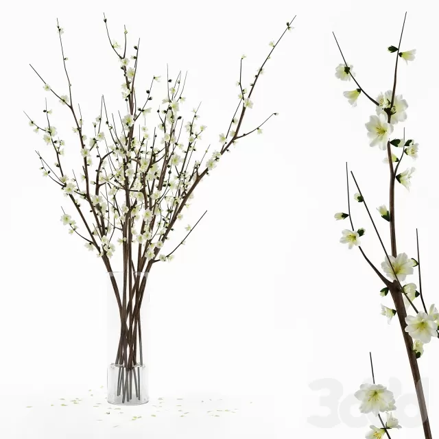 3DSKY FREE � FREE 3DS MAX MODELS