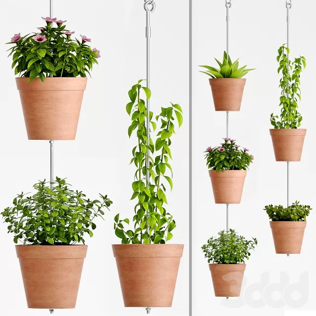 3D MODELS FREE DOWNLOAD 