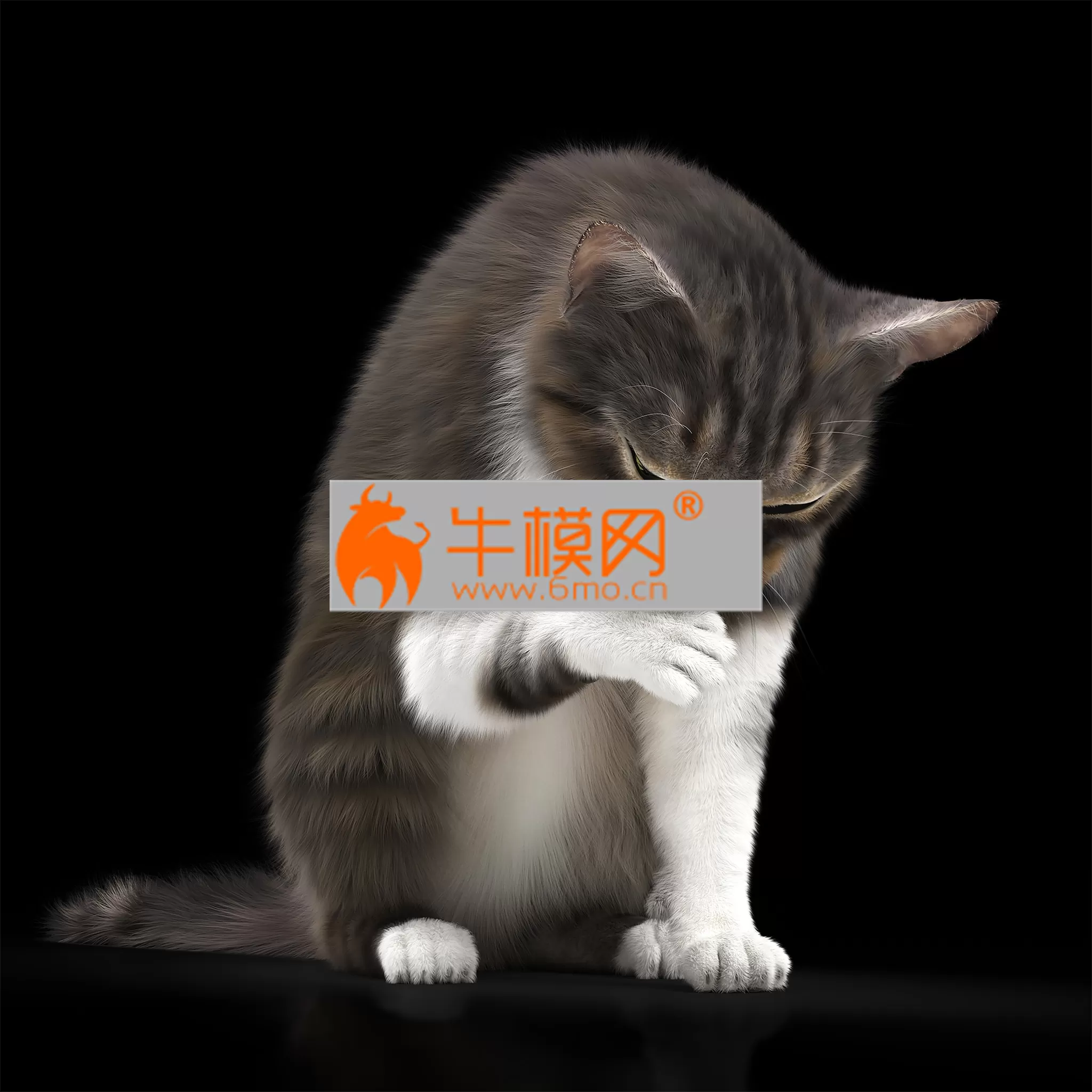 3DSKY FREE � FREE 3DS MAX MODELS